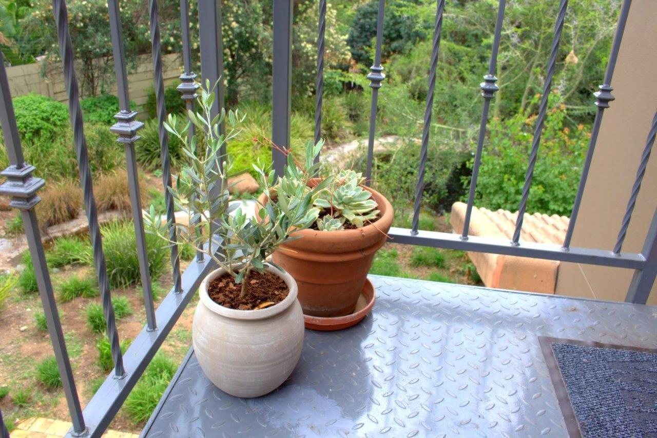 Wild Olive Executive Suite Γιοχάνεσμπουργκ Εξωτερικό φωτογραφία